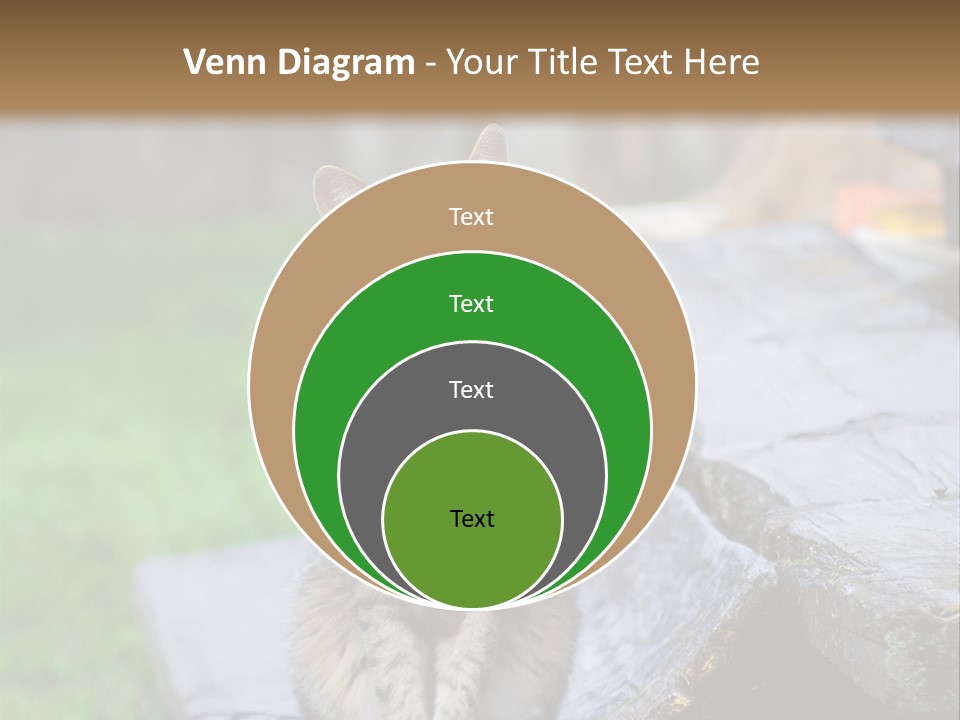 Color Tabby Quiet PowerPoint Template