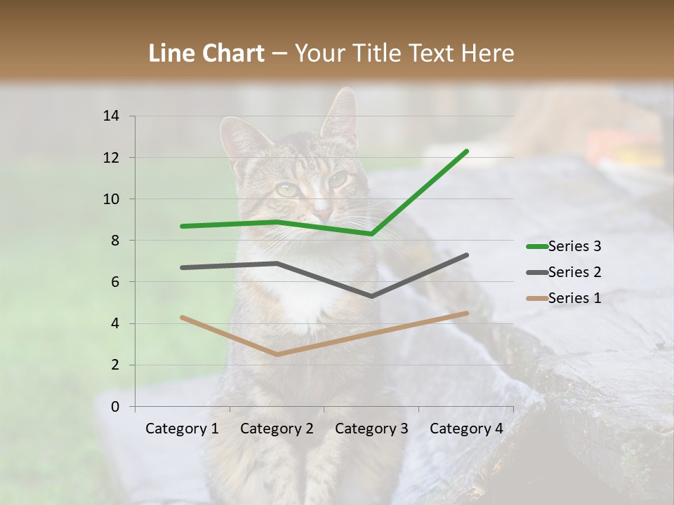 Color Tabby Quiet PowerPoint Template