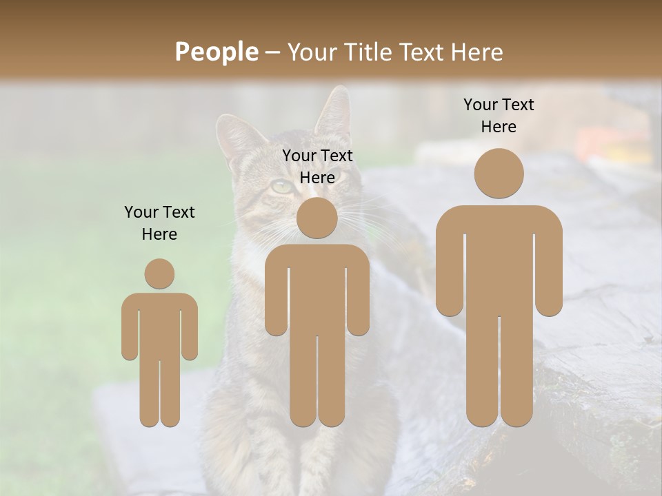 Color Tabby Quiet PowerPoint Template