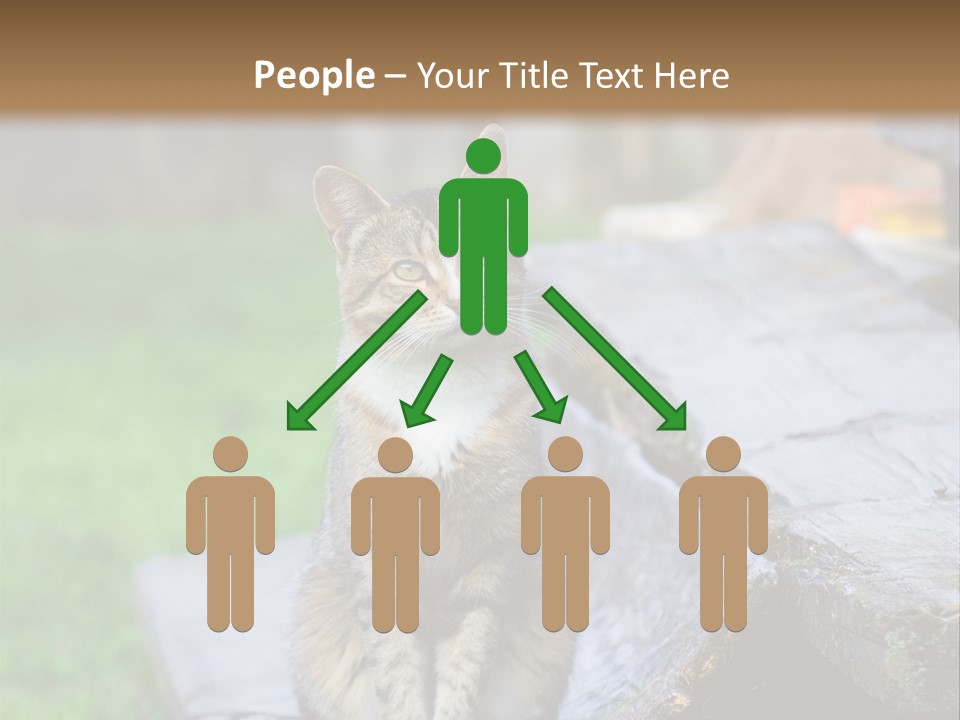 Color Tabby Quiet PowerPoint Template