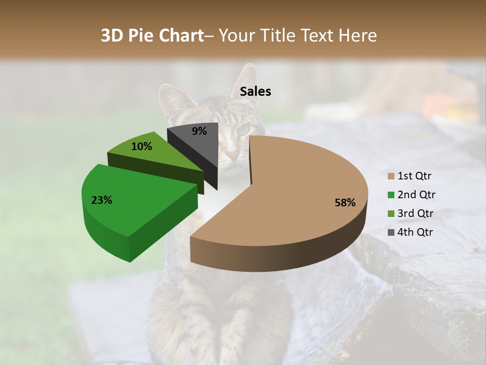 Color Tabby Quiet PowerPoint Template