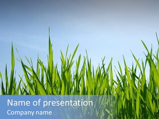 Cloud Rural Color PowerPoint Template