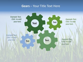 Cloud Rural Color PowerPoint Template