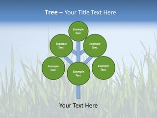 Cloud Rural Color PowerPoint Template