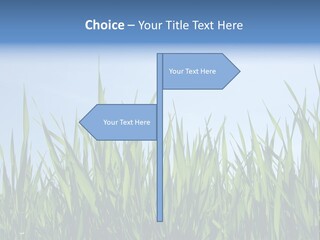 Cloud Rural Color PowerPoint Template