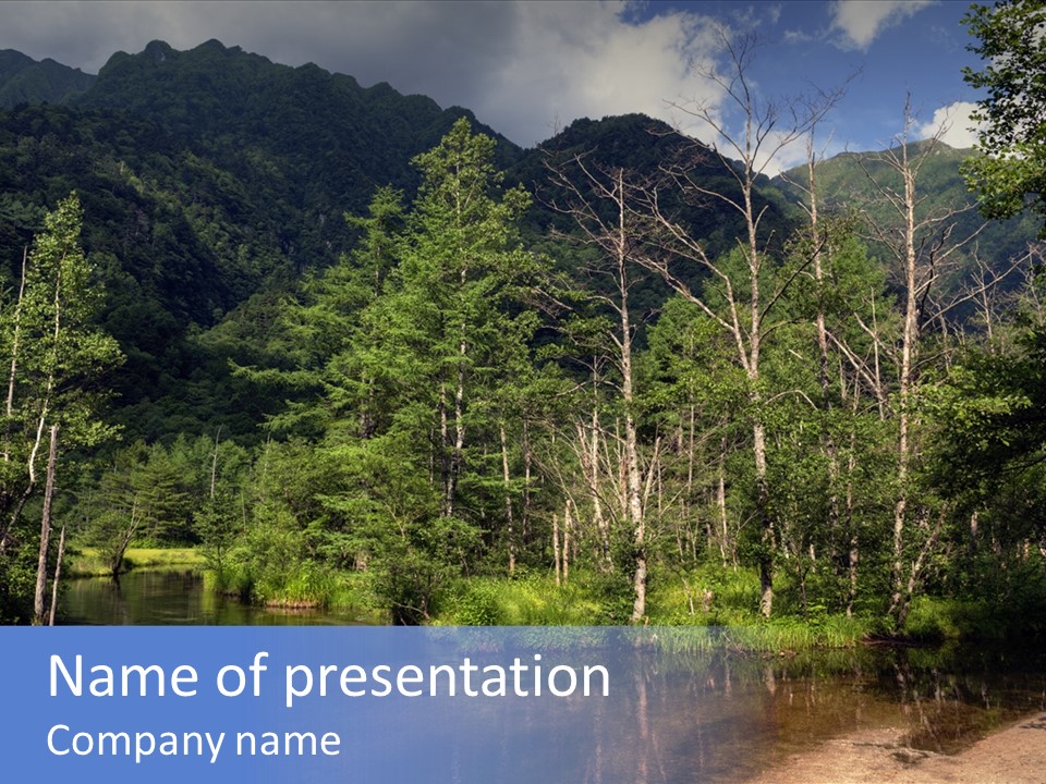 Mountain Tree Karasawadake PowerPoint Template