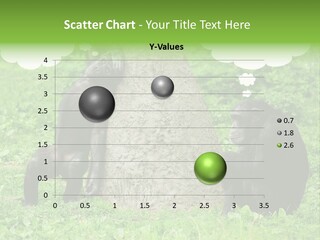 Ecology Zoo Animals Intellectual PowerPoint Template