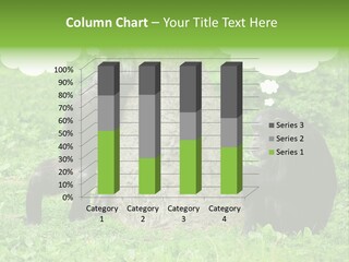 Ecology Zoo Animals Intellectual PowerPoint Template