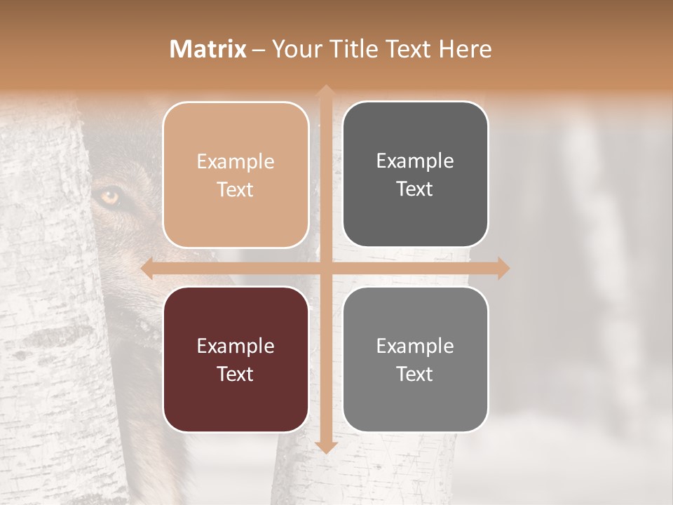 Canis Lupus Wolf Natural PowerPoint Template