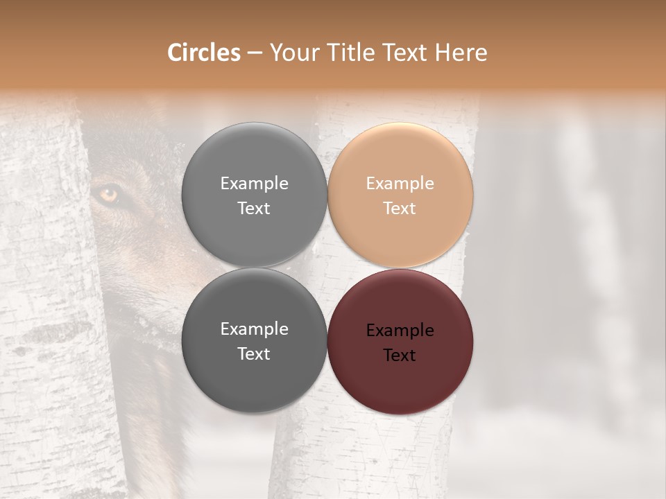 Canis Lupus Wolf Natural PowerPoint Template