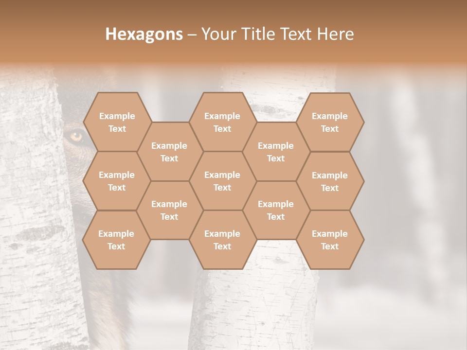 Canis Lupus Wolf Natural PowerPoint Template