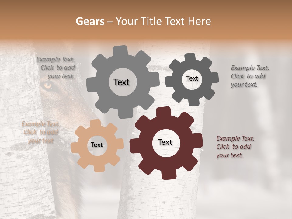 Canis Lupus Wolf Natural PowerPoint Template