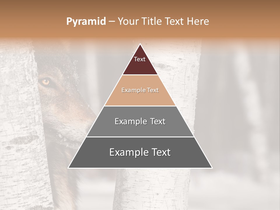 Canis Lupus Wolf Natural PowerPoint Template