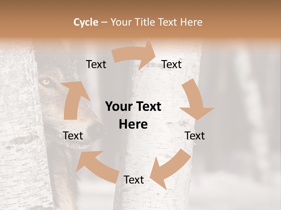 Canis Lupus Wolf Natural PowerPoint Template