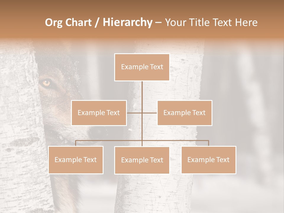 Canis Lupus Wolf Natural PowerPoint Template