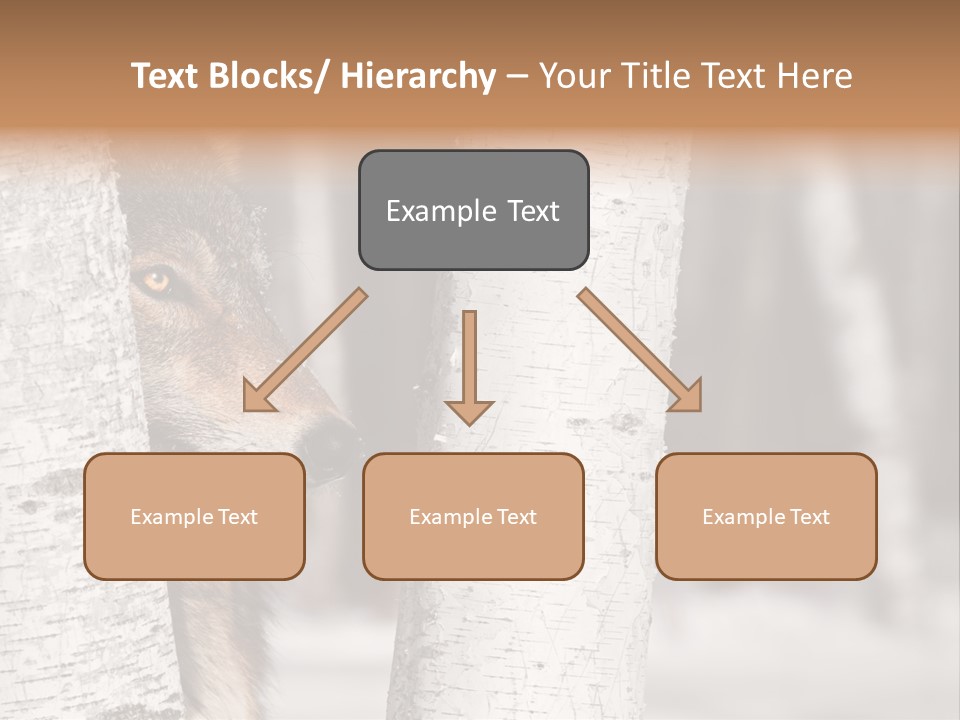 Canis Lupus Wolf Natural PowerPoint Template