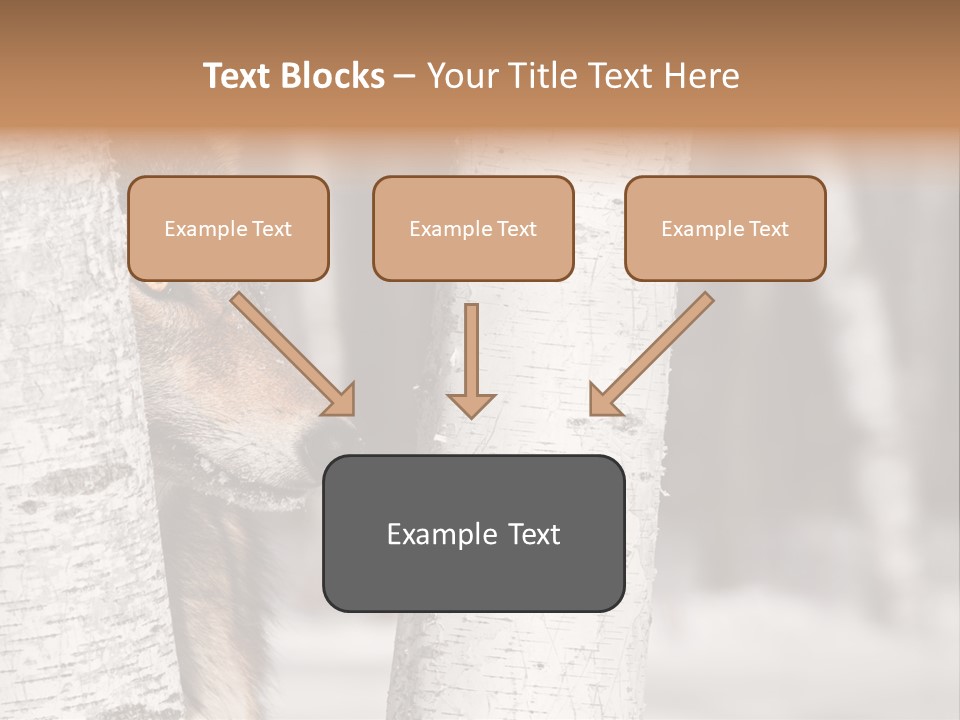 Canis Lupus Wolf Natural PowerPoint Template