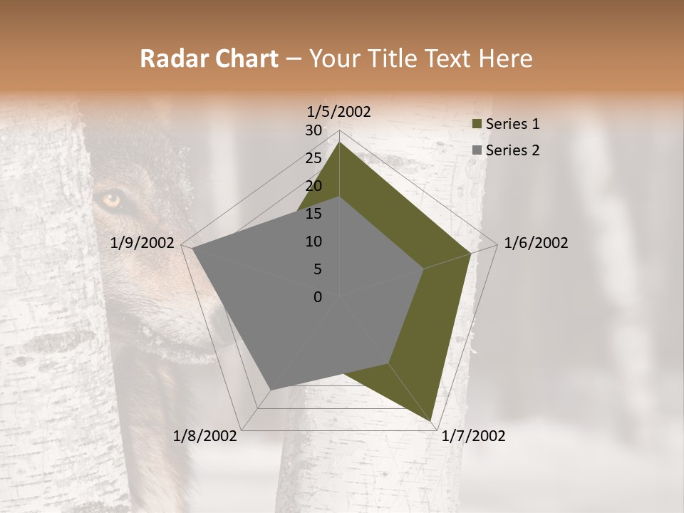 Canis Lupus Wolf Natural PowerPoint Template