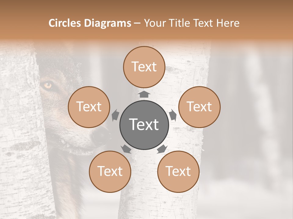 Canis Lupus Wolf Natural PowerPoint Template