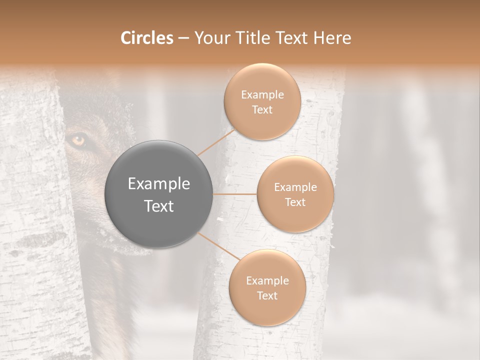 Canis Lupus Wolf Natural PowerPoint Template