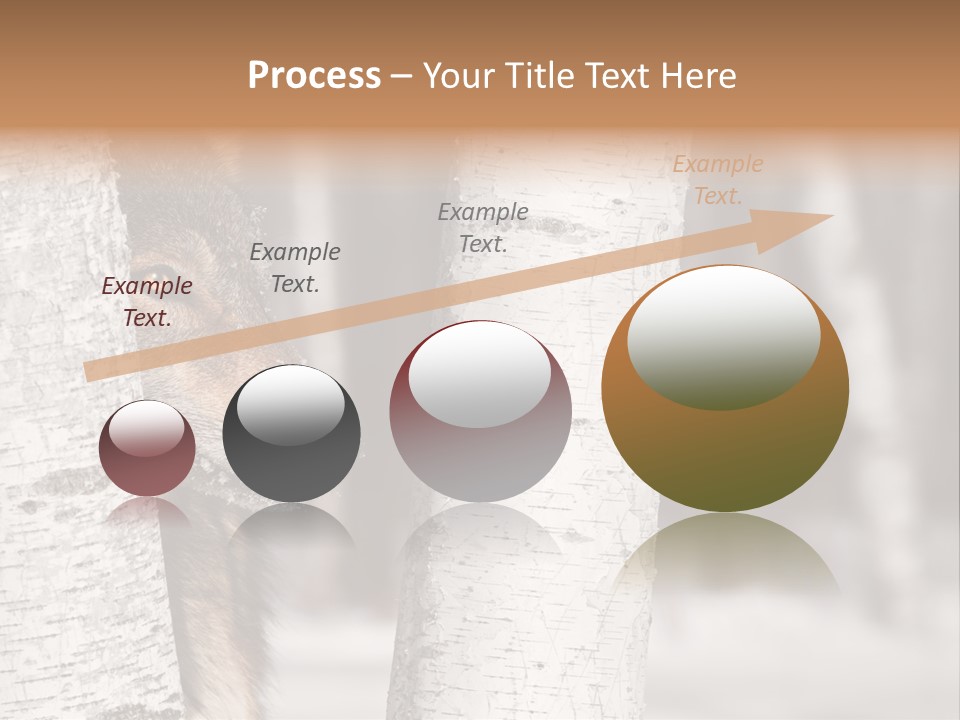 Canis Lupus Wolf Natural PowerPoint Template