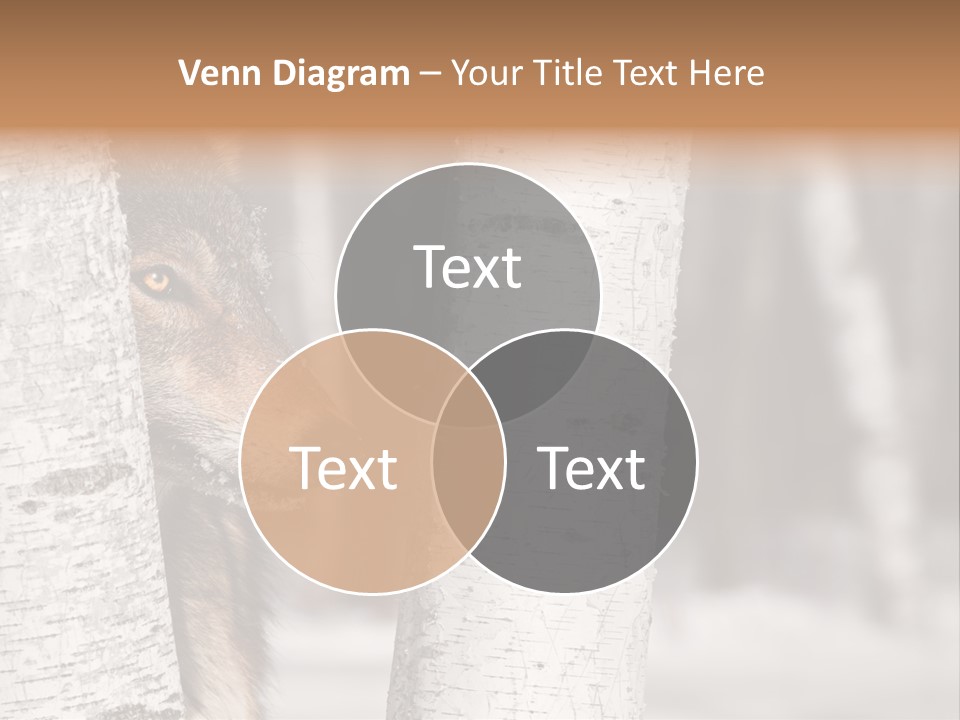 Canis Lupus Wolf Natural PowerPoint Template