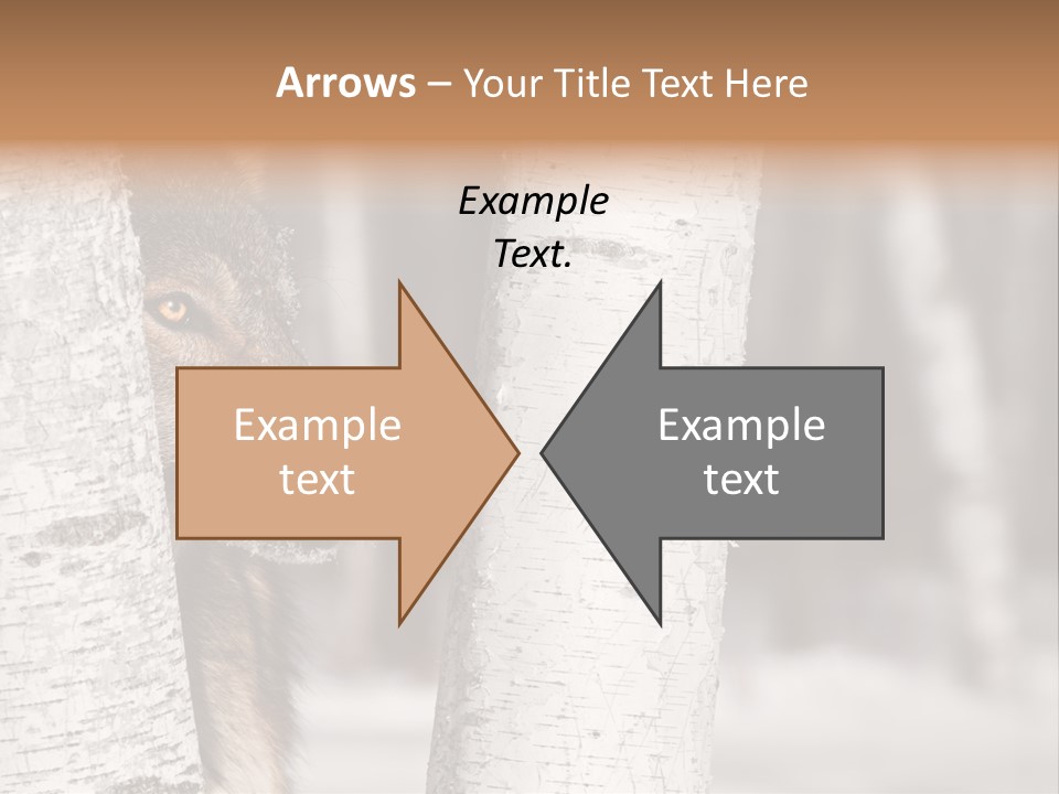 Canis Lupus Wolf Natural PowerPoint Template