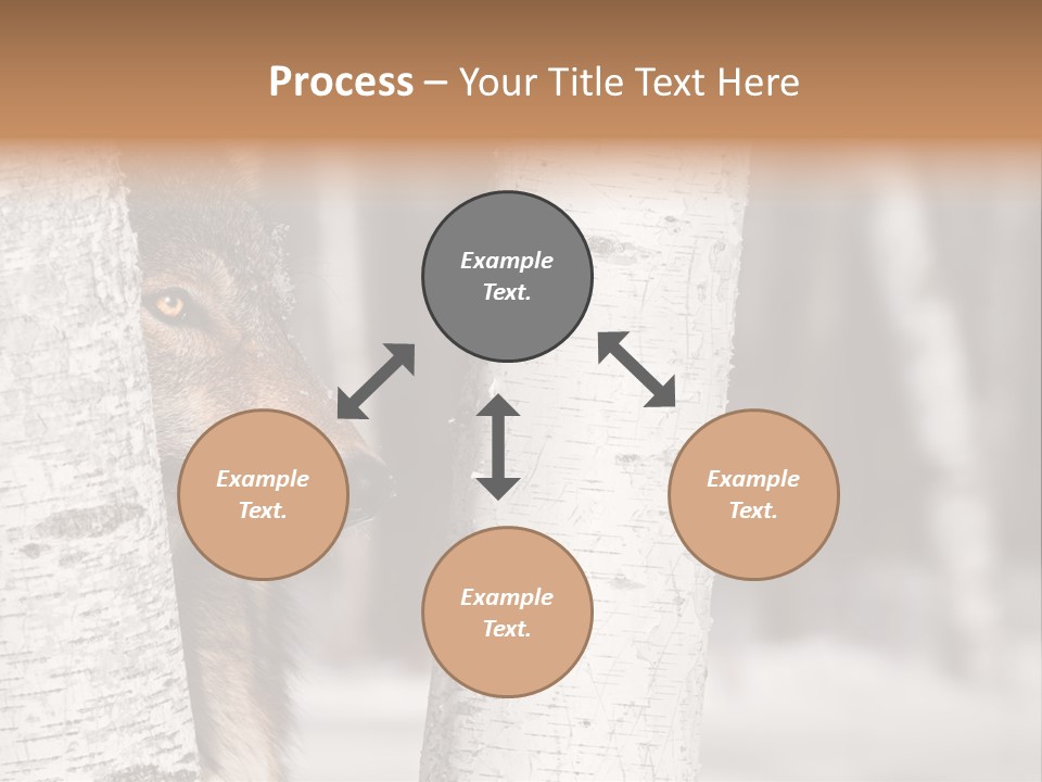 Canis Lupus Wolf Natural PowerPoint Template