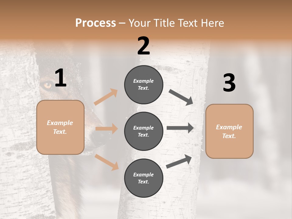 Canis Lupus Wolf Natural PowerPoint Template