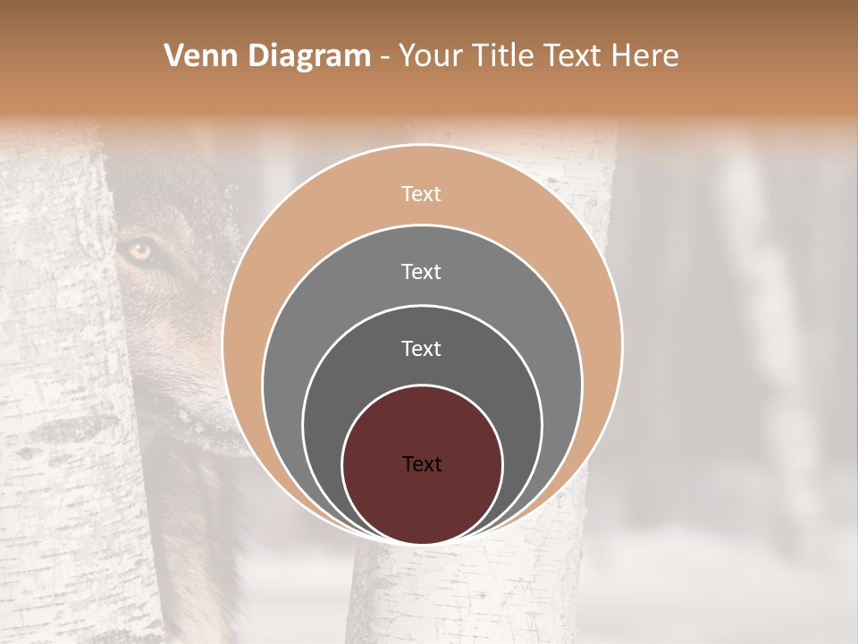 Canis Lupus Wolf Natural PowerPoint Template