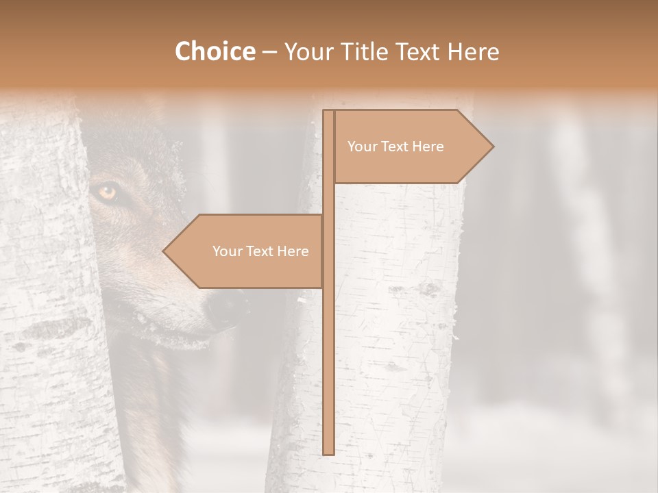 Canis Lupus Wolf Natural PowerPoint Template