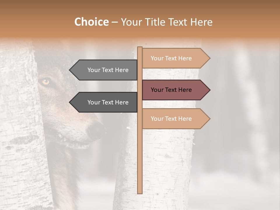 Canis Lupus Wolf Natural PowerPoint Template