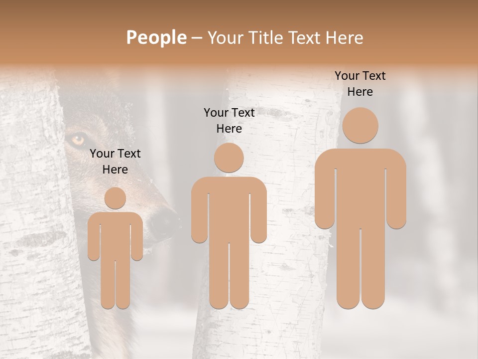 Canis Lupus Wolf Natural PowerPoint Template