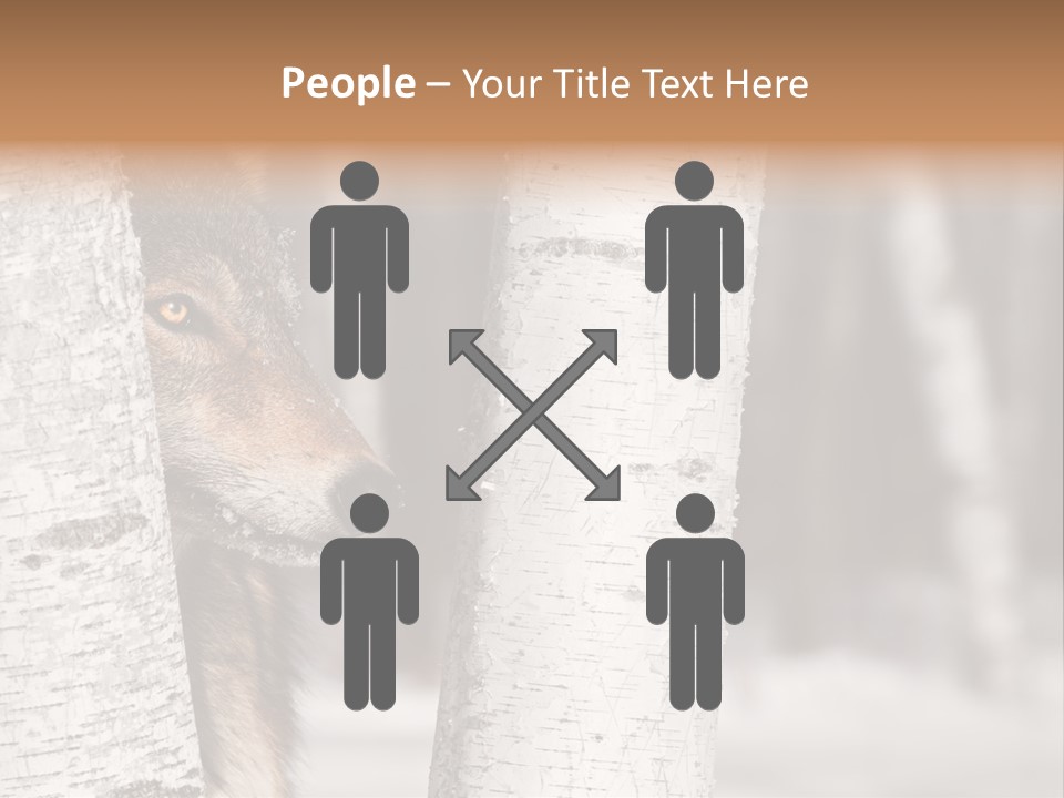 Canis Lupus Wolf Natural PowerPoint Template