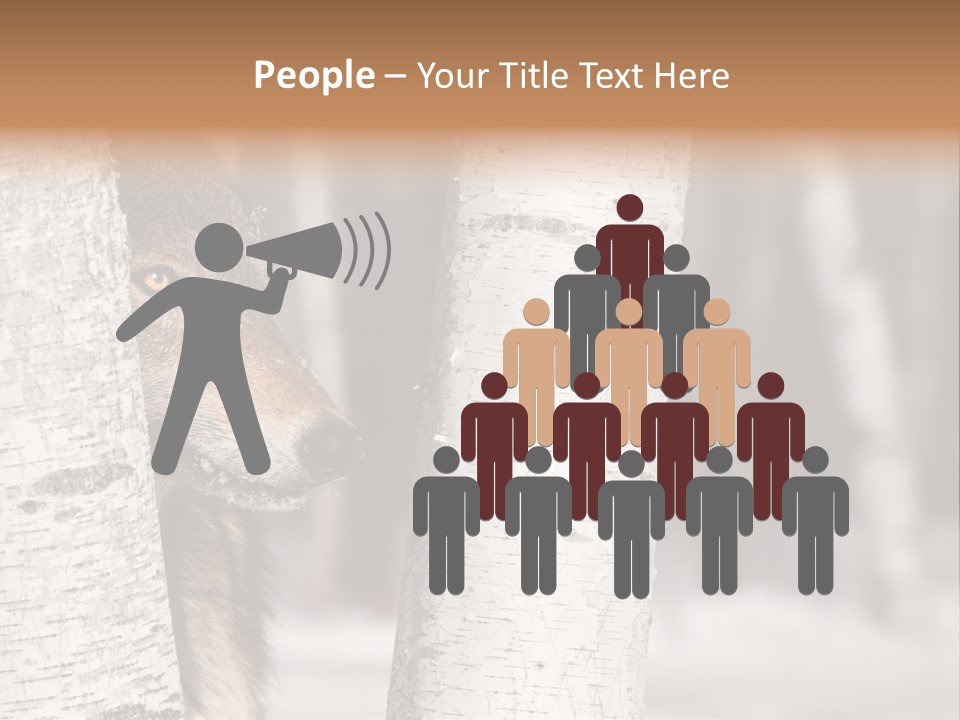 Canis Lupus Wolf Natural PowerPoint Template