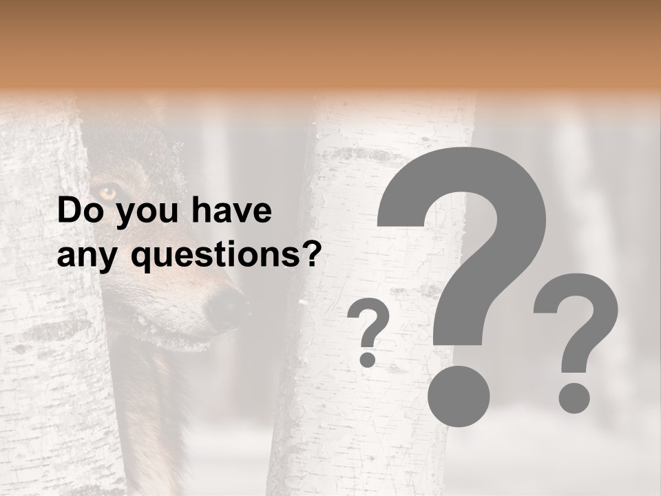 Canis Lupus Wolf Natural PowerPoint Template