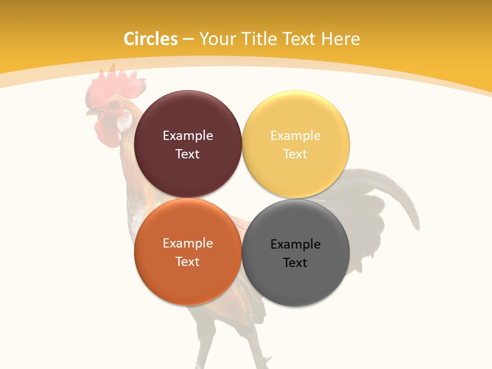 Agriculture Real Chick PowerPoint Template