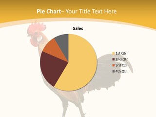 Agriculture Real Chick PowerPoint Template