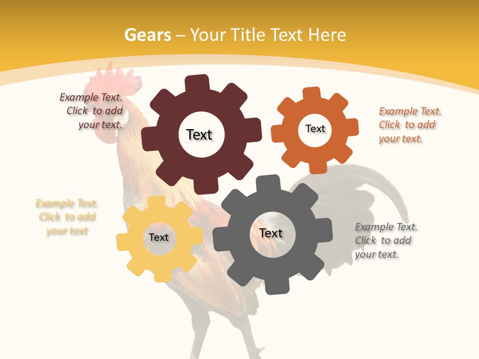 Agriculture Real Chick PowerPoint Template