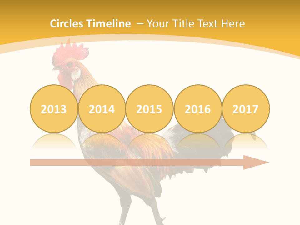 Agriculture Real Chick PowerPoint Template