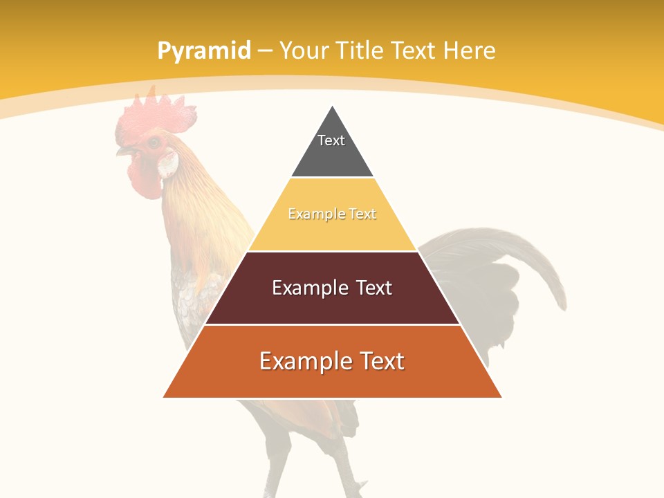 Agriculture Real Chick PowerPoint Template