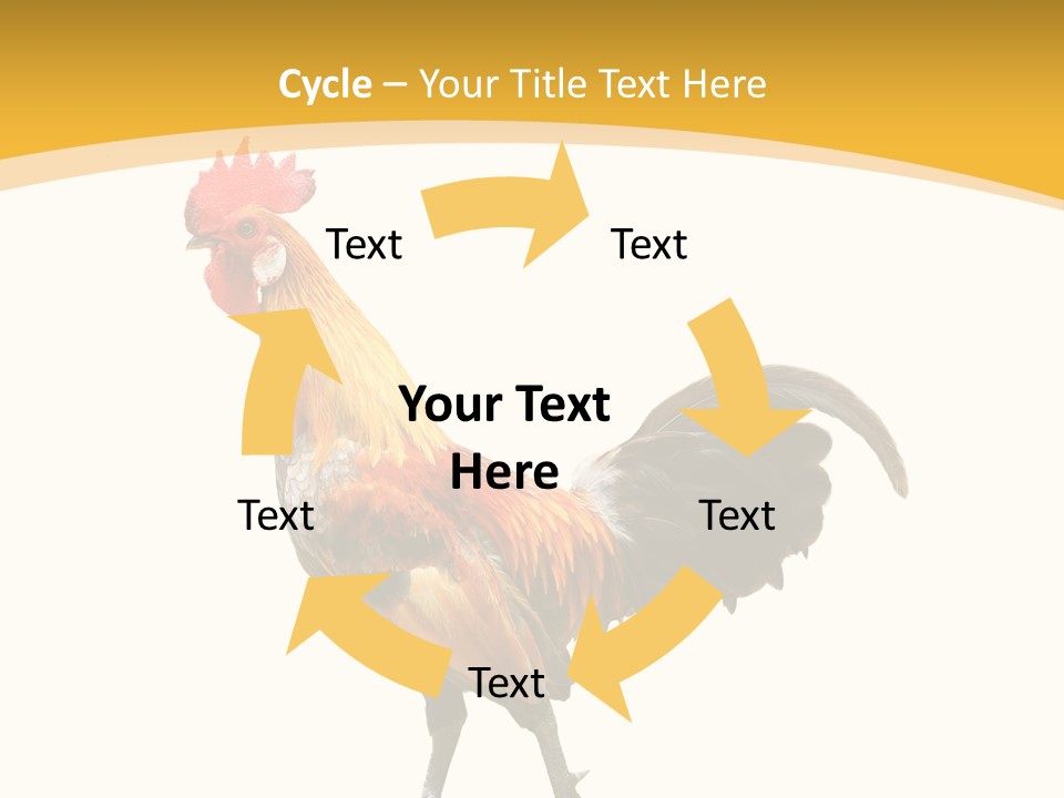 Agriculture Real Chick PowerPoint Template