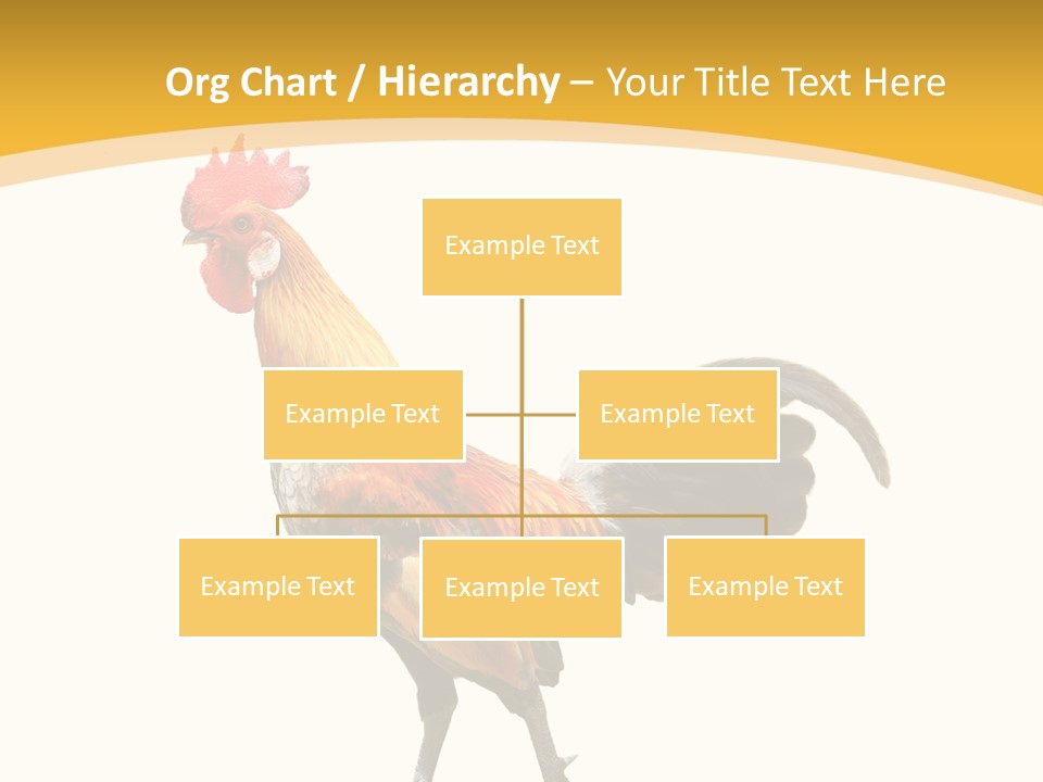 Agriculture Real Chick PowerPoint Template