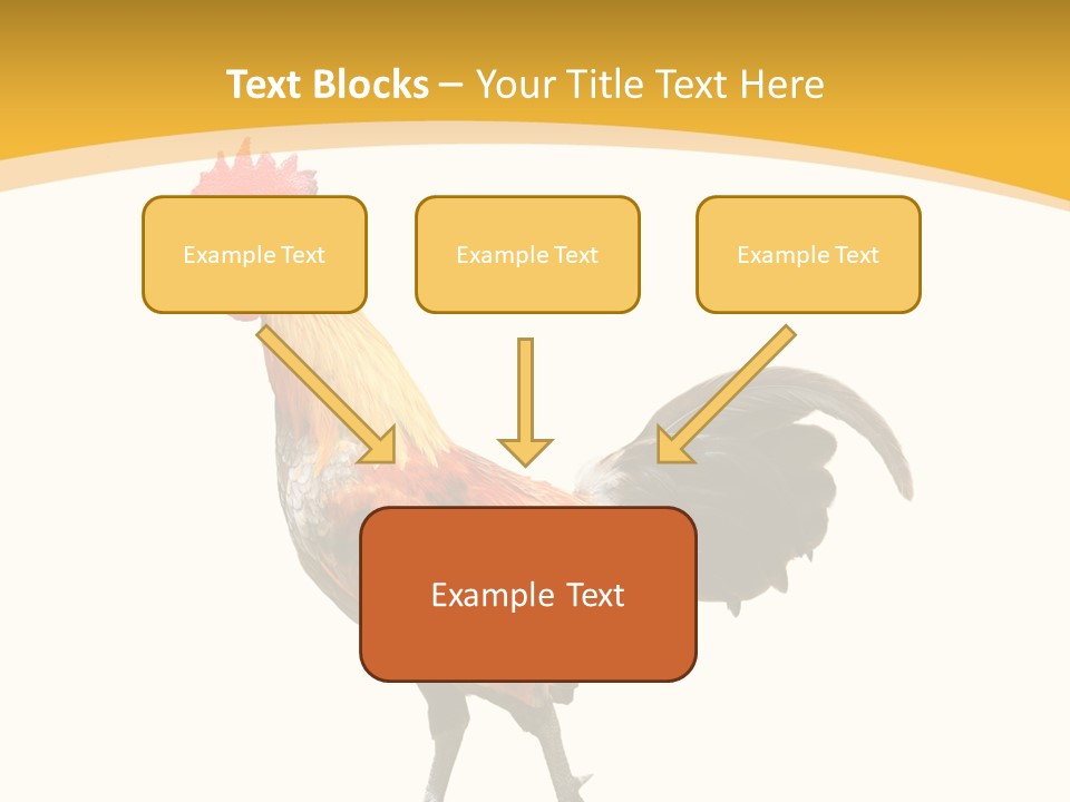 Agriculture Real Chick PowerPoint Template