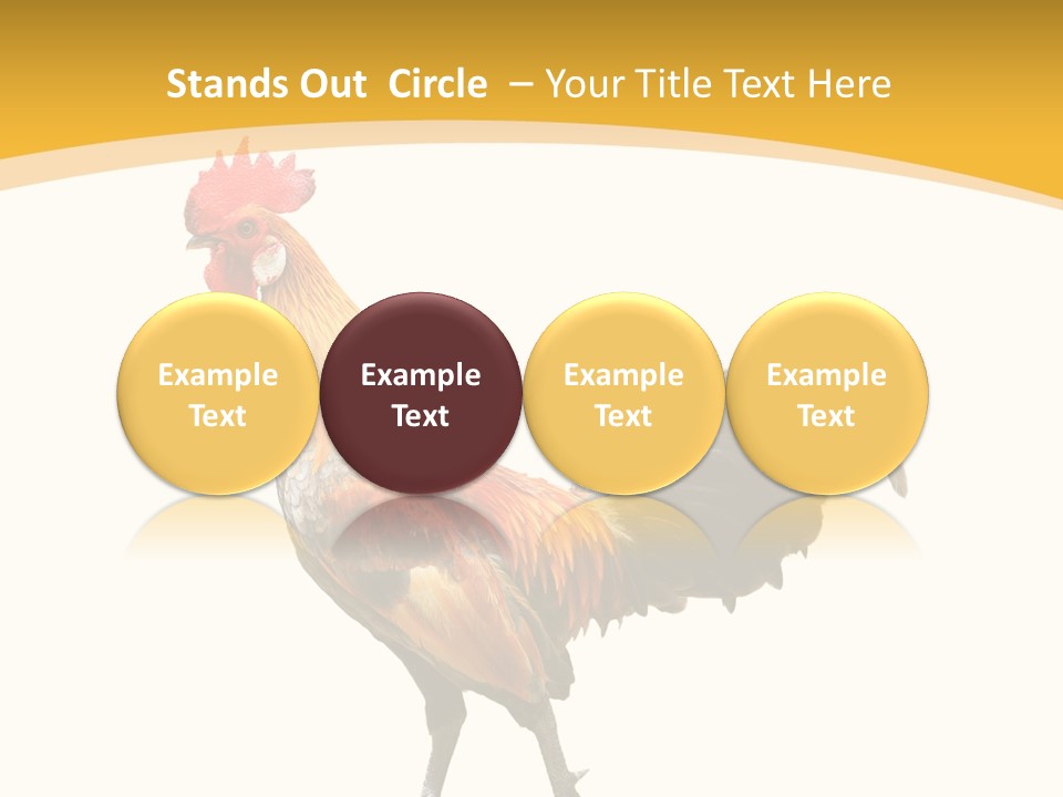Agriculture Real Chick PowerPoint Template