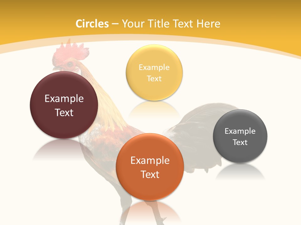 Agriculture Real Chick PowerPoint Template