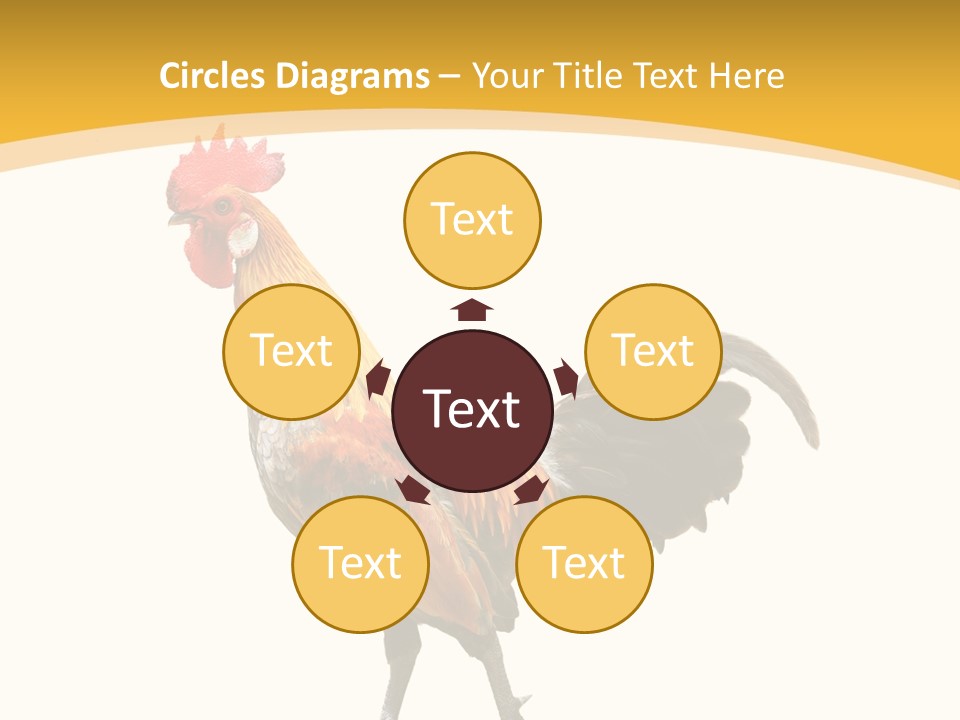 Agriculture Real Chick PowerPoint Template