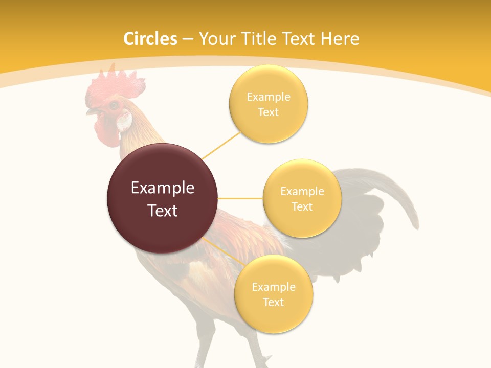Agriculture Real Chick PowerPoint Template