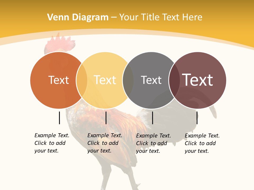 Agriculture Real Chick PowerPoint Template