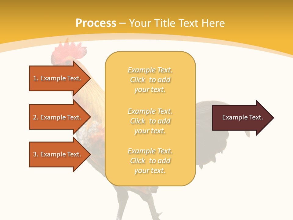 Agriculture Real Chick PowerPoint Template